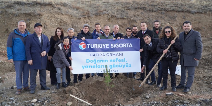 Türkiye Sigorta Ormanı Sivas'ta yeşerecek