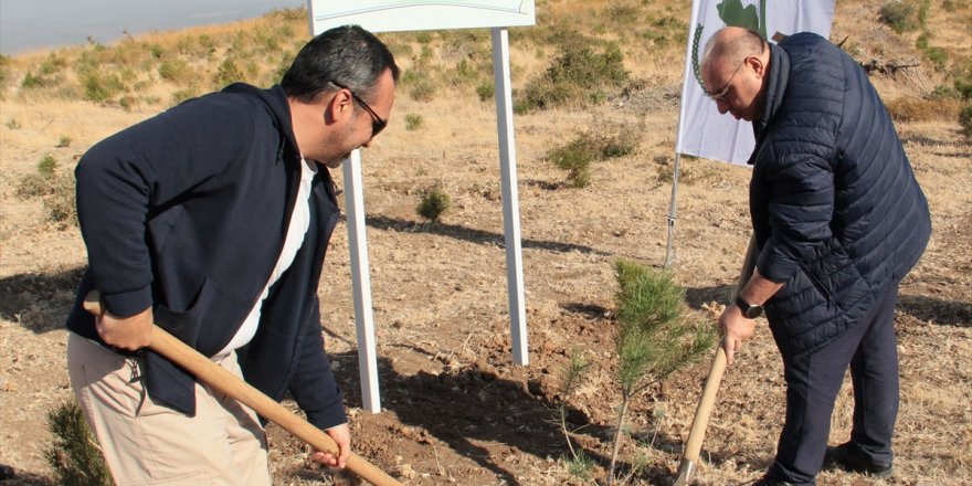 İzmirgaz hatıra ormanı oluşturdu