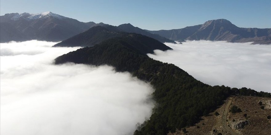 Başkarcı Dağı'nın zirvesi "bulut deniziyle" kaplandı