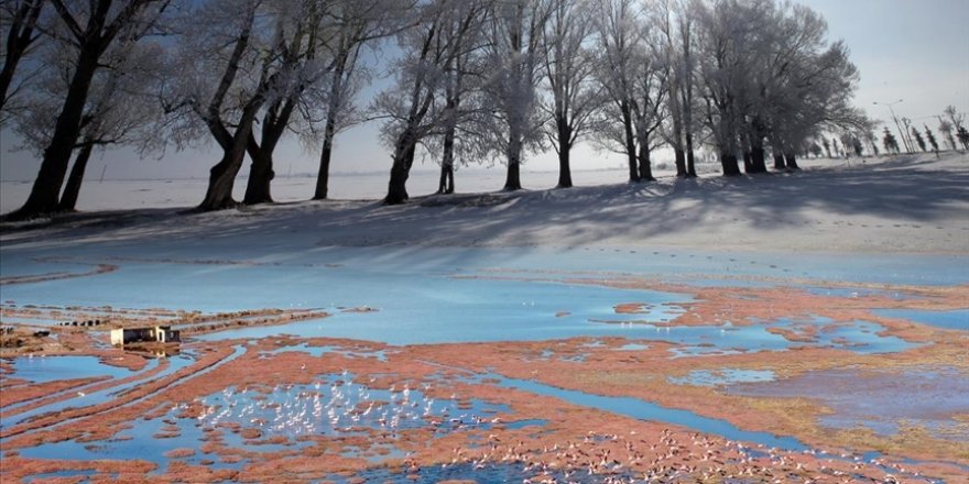 Kasımda sıcaklık en yüksek Milas'ta en düşük Erzurum'da kaydedildi