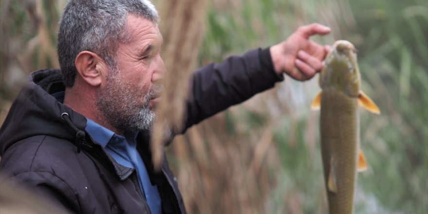 Aydın'da Akçay Nehri'ndeki balık ölümleri araştırılıyor