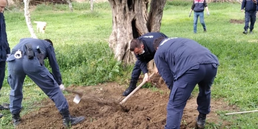 Aydınlı 71 yaşındaki uyuşturucu yetiştiricisi!