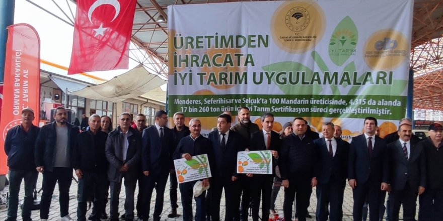 İzmir'de "iyi tarım" uygulayan mandalina üreticilerine sertifika