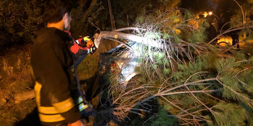 Muğla'da trafik kazasında 2 kişi yaralandı