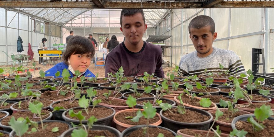 Manisa'da özel öğrencilerin yetiştirdiği çiçekler, parkları süslüyor