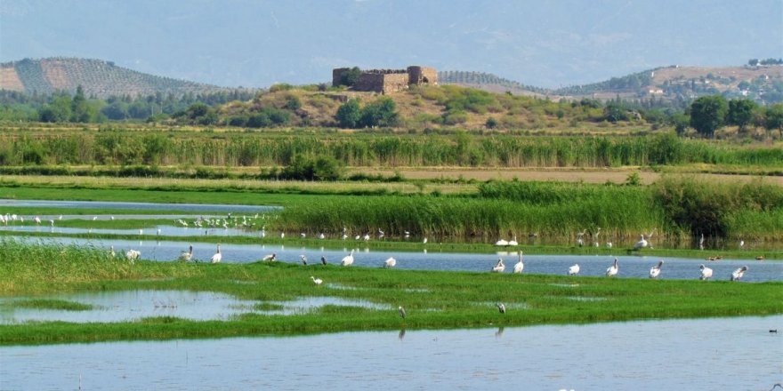 Azap Gölü’nde, ekoturizm için harekete geçildi