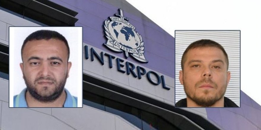 İnterpol-Europol Daire Başkanlığı'ndan Serkan Kurtuluş ve Lider Camgöz açıklaması! 194 ülke ile temas kuruldu