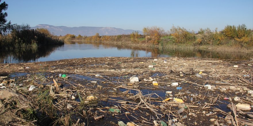 Büyük Menderes Nehri'ndeki kirlilik araştırılıyor