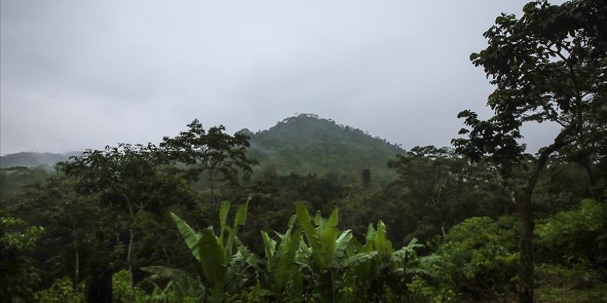 Brezilya ve Kolombiya devlet başkanları Amazon'un korunmasını ele aldı