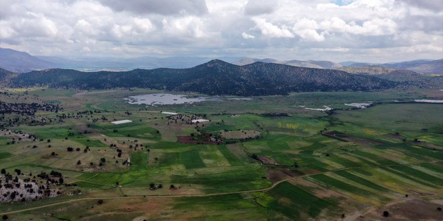 Seydikemer Süt Sığırcılığı İhtisas OSB'nin yapılacağı arazi satın alındı