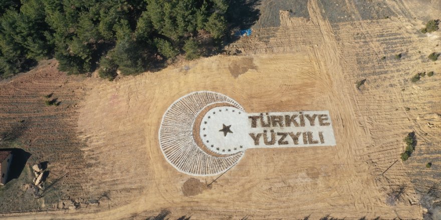 Uşak'ta 30 bin 600 fidanla "Türkiye Yüzyılı" yazıldı