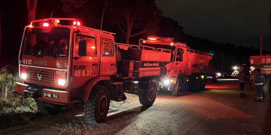 Denizli'de çıkan orman yangını kontrol altına alındı