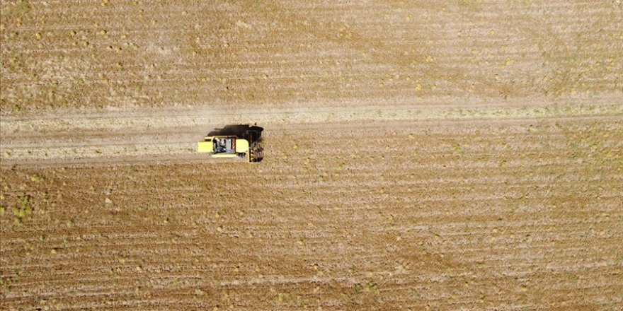 Atıl durumdaki 300 milyon metrekare hazine arazisi ekonomiye kazandırılacak