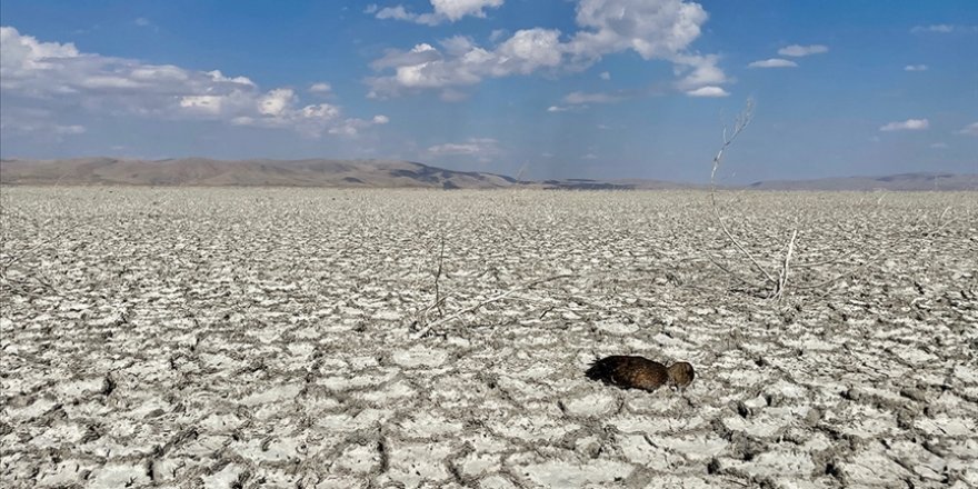 Fed ABD'nin 6 büyük bankasından iklim riski analizi istedi