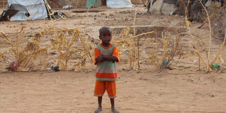 9 milyar insanı besleme potansiyeline sahip Afrika'da 278 milyon kişi aç