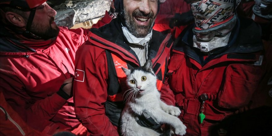 Hatay'da 116 saat sonra kadının kurtarıldığı enkazdan bir de kedi canlı olarak çıkarıldı