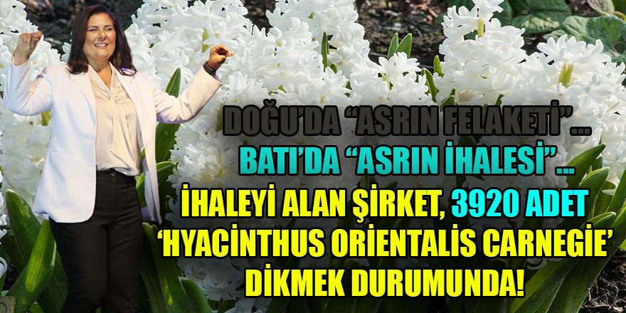 Bu ihale Aydın BŞB'nin 3 Milyarlık 2023 yılı bütçesinin yüzde kaçını kapsayacak?