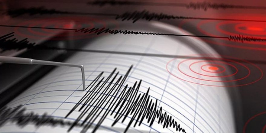 Elazığ'da 4.6 büyüklüğünde deprem