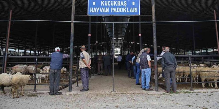 Kütahya'da şap hastalığı nedeniyle hayvan pazarları kapatıldı