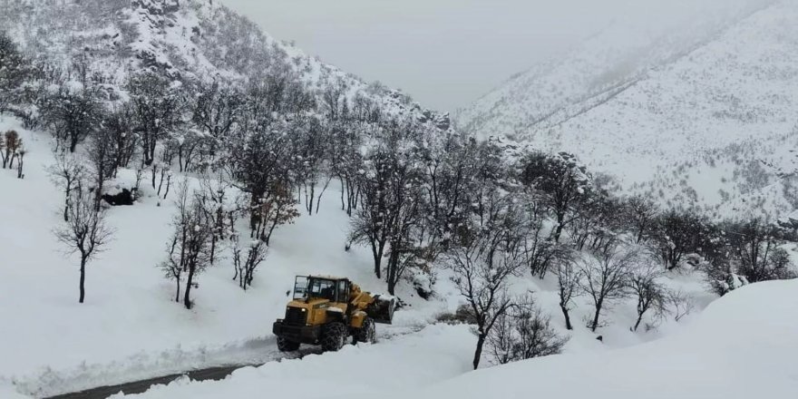 Meteoroloji'den kuvvetli rüzgar ve kar yağışı uyarısı: 'Çığ tehlikesine dikkat'