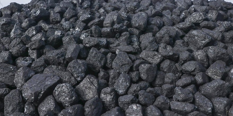 Rusya, yaptırımlara rağmen geçen yıl da Almanya'nın en büyük kömür tedarikçisi oldu