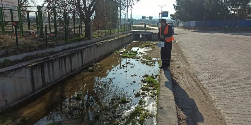 Gediz'de larva öncesi ilaçlama çalışması başlatıldı