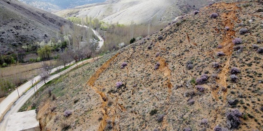 Kahramanmaraş'ta depremlerde oluşan uzun ve derin yarıklar arazilere de zarar verdi