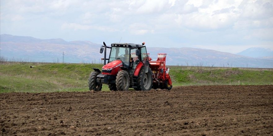 Muş'ta bu yıl şeker pancarı üretiminde "rekor" hedefleniyor