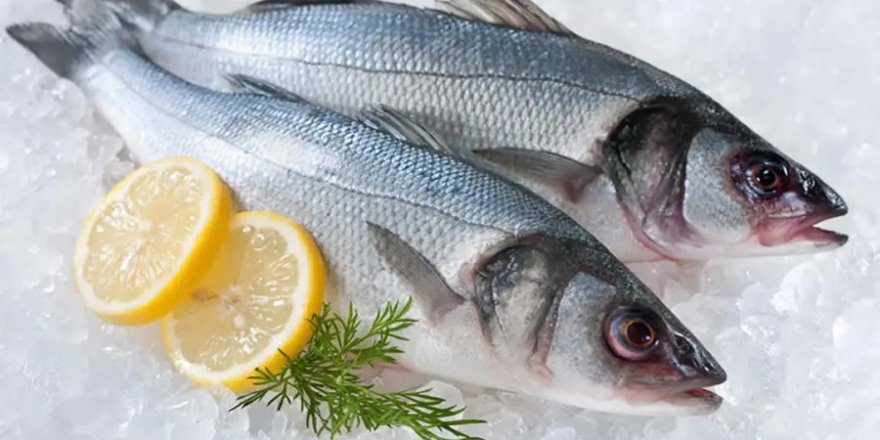 Balıklarda tespit edilen ilaç kalıntıları insan sağlığı için risk oluşturabilir