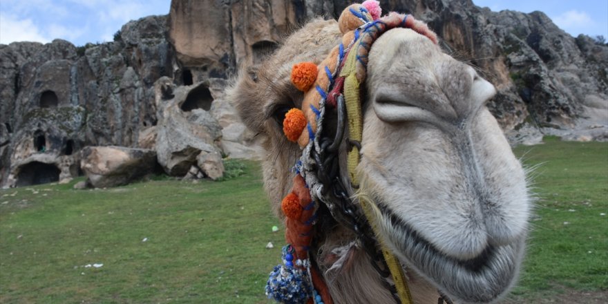 Frigya'da turistler, tarihi mekanları deveyle geziyor