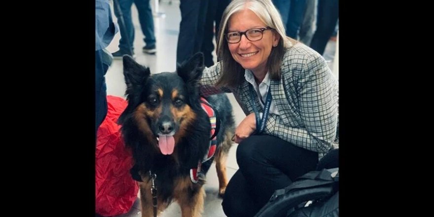 Kolombiya'dan Türkiye'ye gelen arama kurtarma köpeği "Aaron" hayatını kaybetti