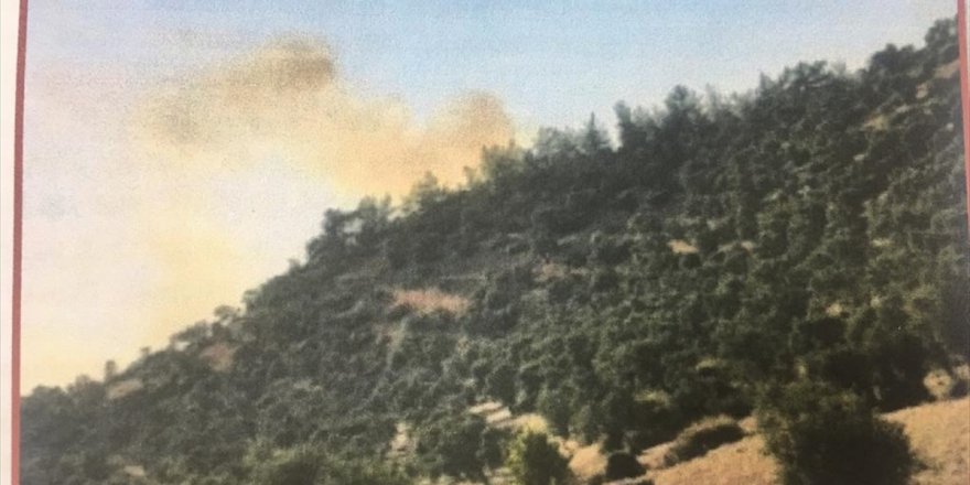 PKK'dan aldığı talimatla 2 yıl önce Bodrum'da orman yangını çıkaran zanlı tutuklandı