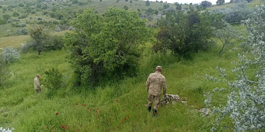 Denizli'de kaybolan yaşlı kadını arama çalışmaları devam ediyor