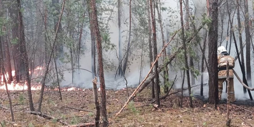 Kazakistan’da orman yangınıyla mücadele 7. gününde sürüyor