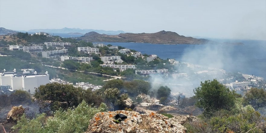 Bodrum'da makilik alanda çıkan yangın söndürüldü