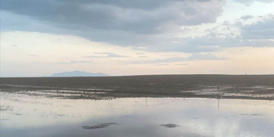 Konya'da sağanak nedeniyle tarım arazilerini su bastı