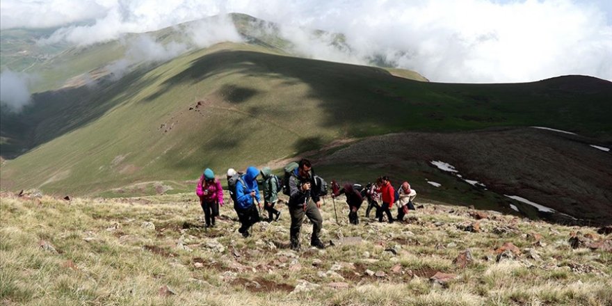 Yağışlarla yeşillenen Aras Dağları doğa tutkunlarını ağırlıyor