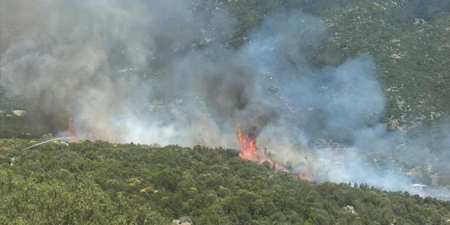 Kaş'ta çıkan orman yangını kontrol altına alındı