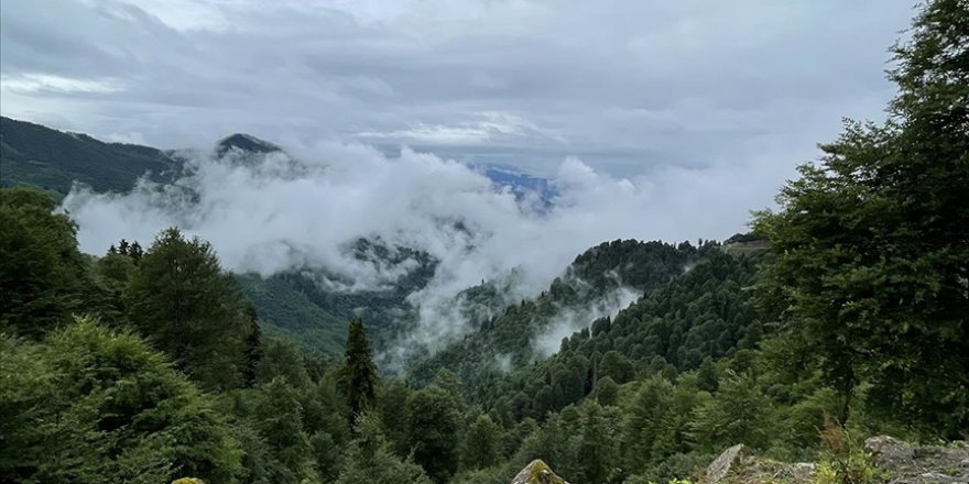 Borçka Karagöl Tabiat Parkı'nı bayramda 30 bin kişi ziyaret etti