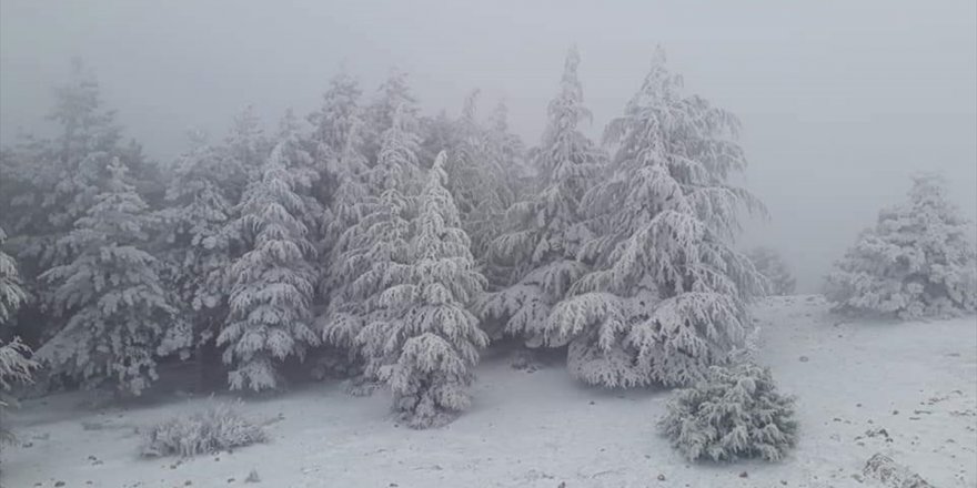 Manisa'da kar yağışı etkili oluyor