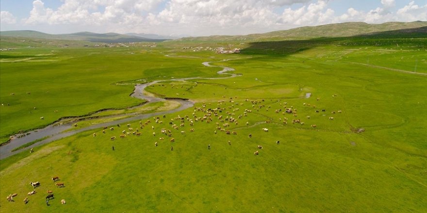 Ardahan'da menderesler havadan görüntülendi