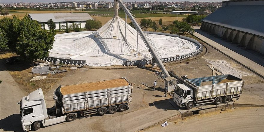 TMO'nun günlük hububat alım kapasitesi 160 bin tona ulaştı