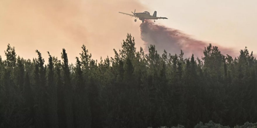 Bakan Koca: İzmir'deki yangında 1'i ağır 12 kişi etkilendi