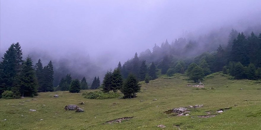 Ardahan'ın yüksek kesimleri sisle kaplandı