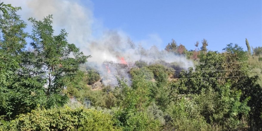 Osmaniye Düziçi'nde çıkan orman yangını kontrol altına alındı