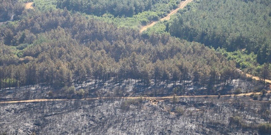 Tekirdağ Malkara'da çıkan orman yangını kontrol altına alındı