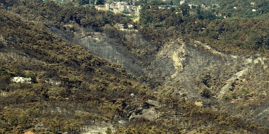 Hatay'da orman yangınından zarar gören alanlar görüntülendi