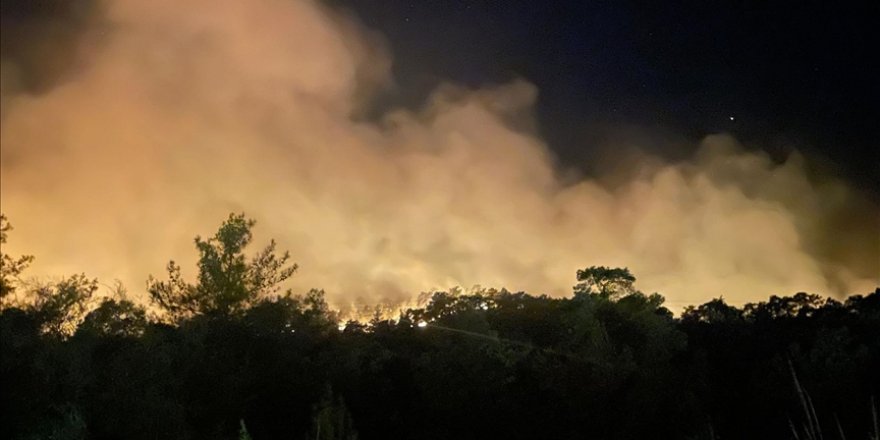 Antalya'nın Kemer ilçesinde orman yangını çıktı