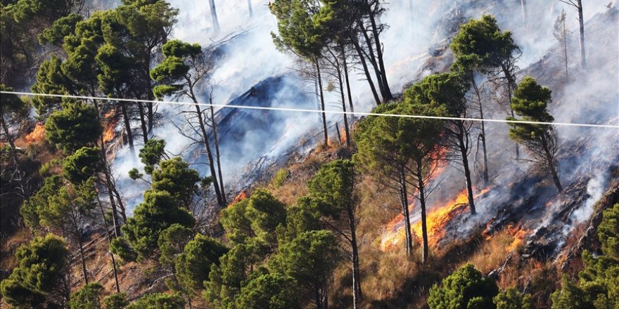 İtalya'da orman yangınlarını söndürme çalışmaları devam ediyor