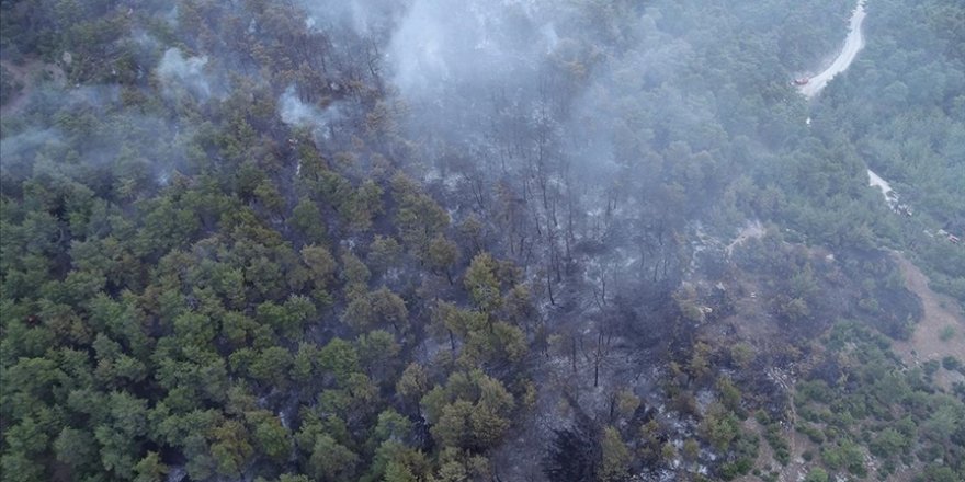 Çanakkale'deki orman yangınına müdahale ediliyor